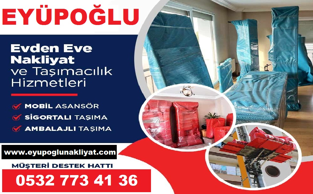   Güvenli Asansörlü Taşımacılık  görseli